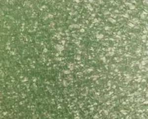 Coilasi baja baju baja sing dilapisi warna